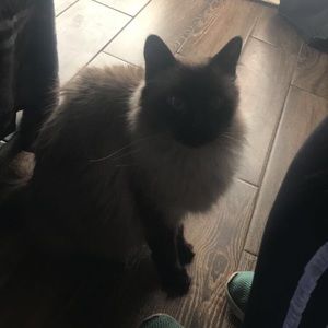 Meet your Posher, Kylee